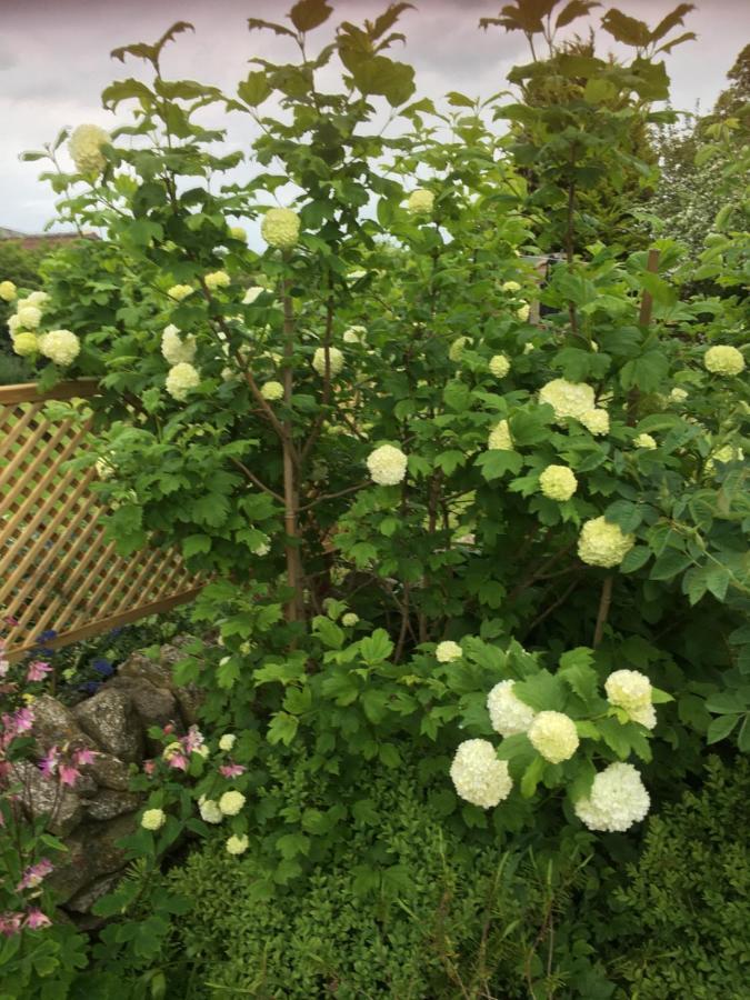 Oscar Park Farm Bed & Breakfast York Luaran gambar