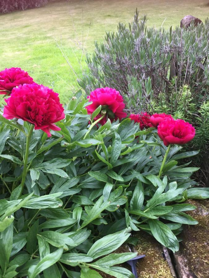 Oscar Park Farm Bed & Breakfast York Luaran gambar