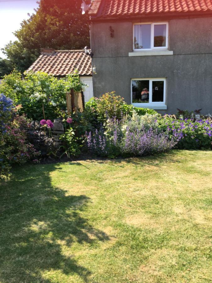 Oscar Park Farm Bed & Breakfast York Luaran gambar