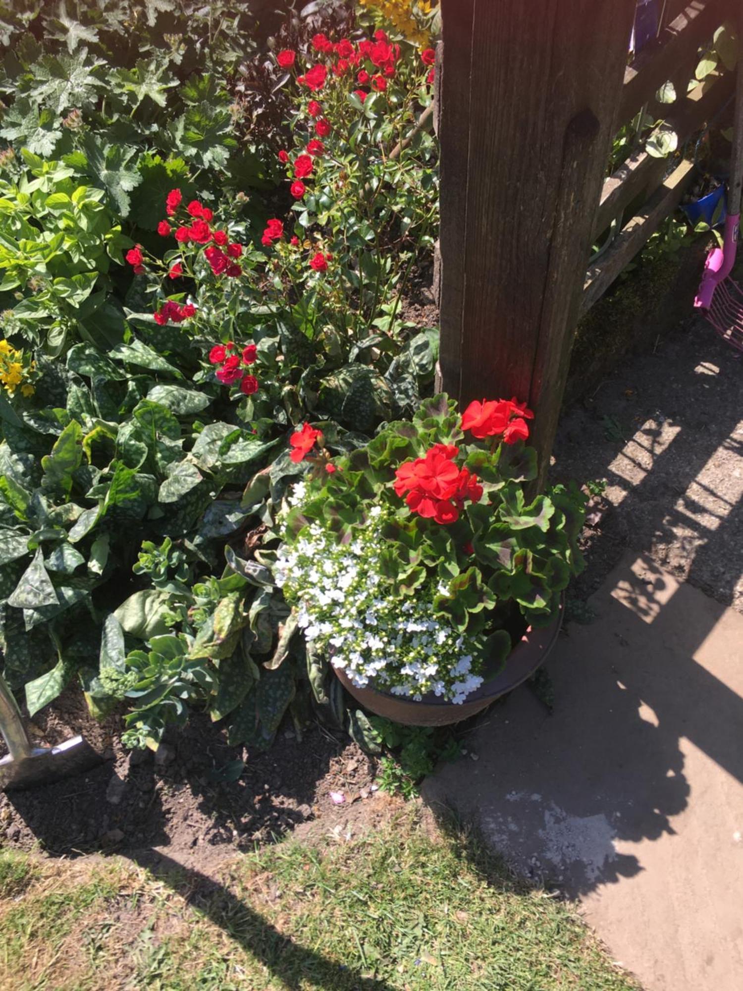 Oscar Park Farm Bed & Breakfast York Luaran gambar